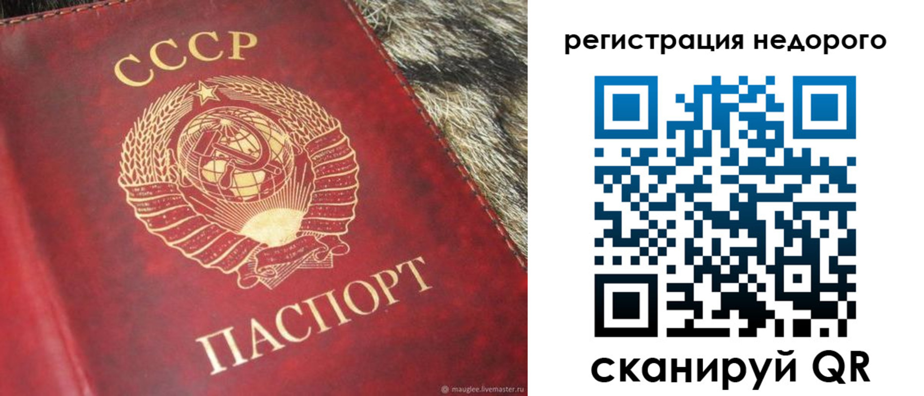 прописка ребенка в Иланском